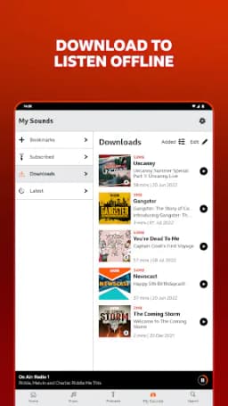 Screenshot 13