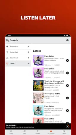 Screenshot 12