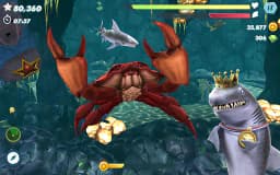 Screenshot 15