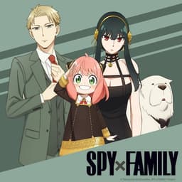 Screenshot 25